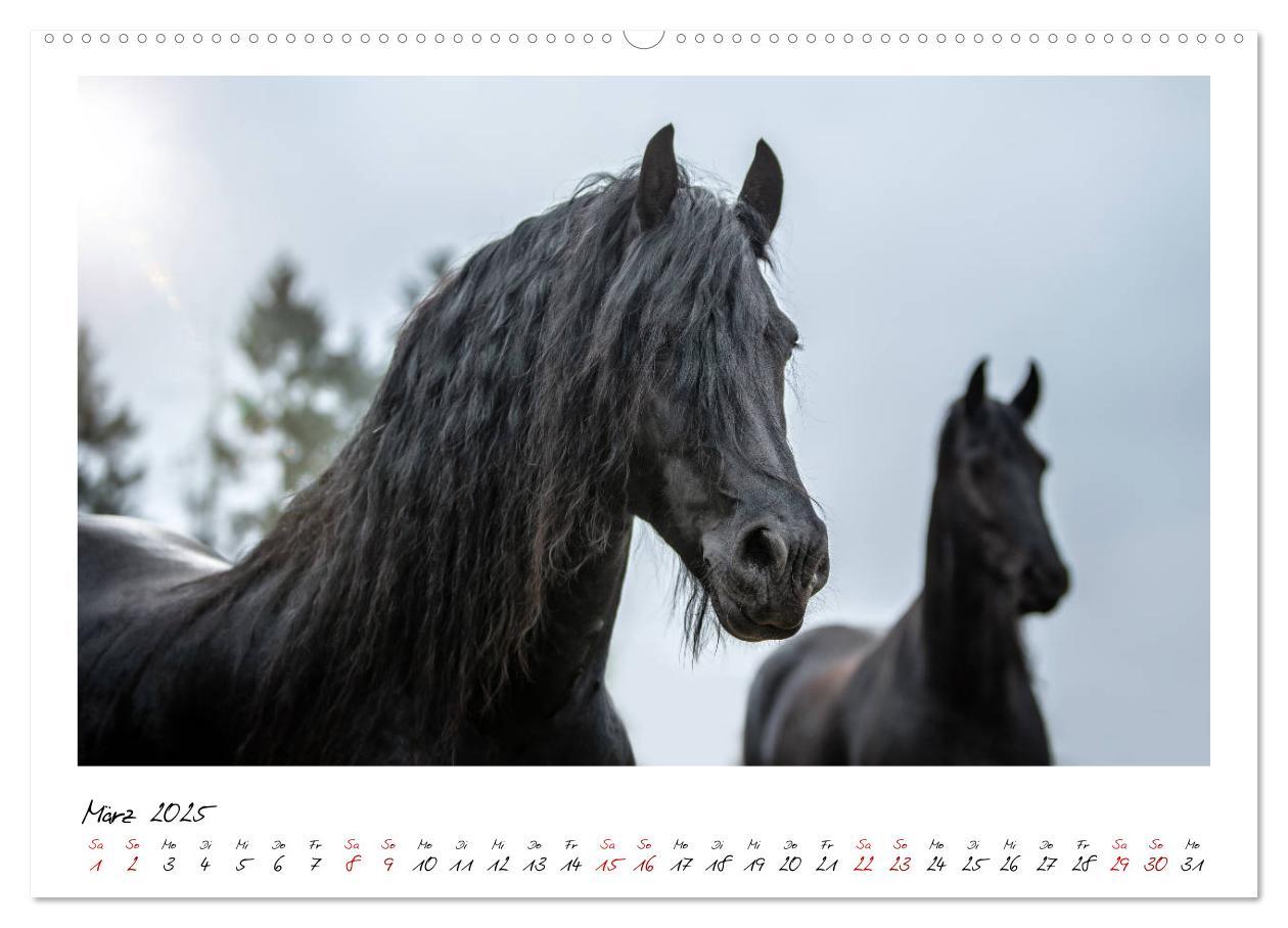 Bild: 9783435234127 | Friesen - stolze Giganten (hochwertiger Premium Wandkalender 2025...