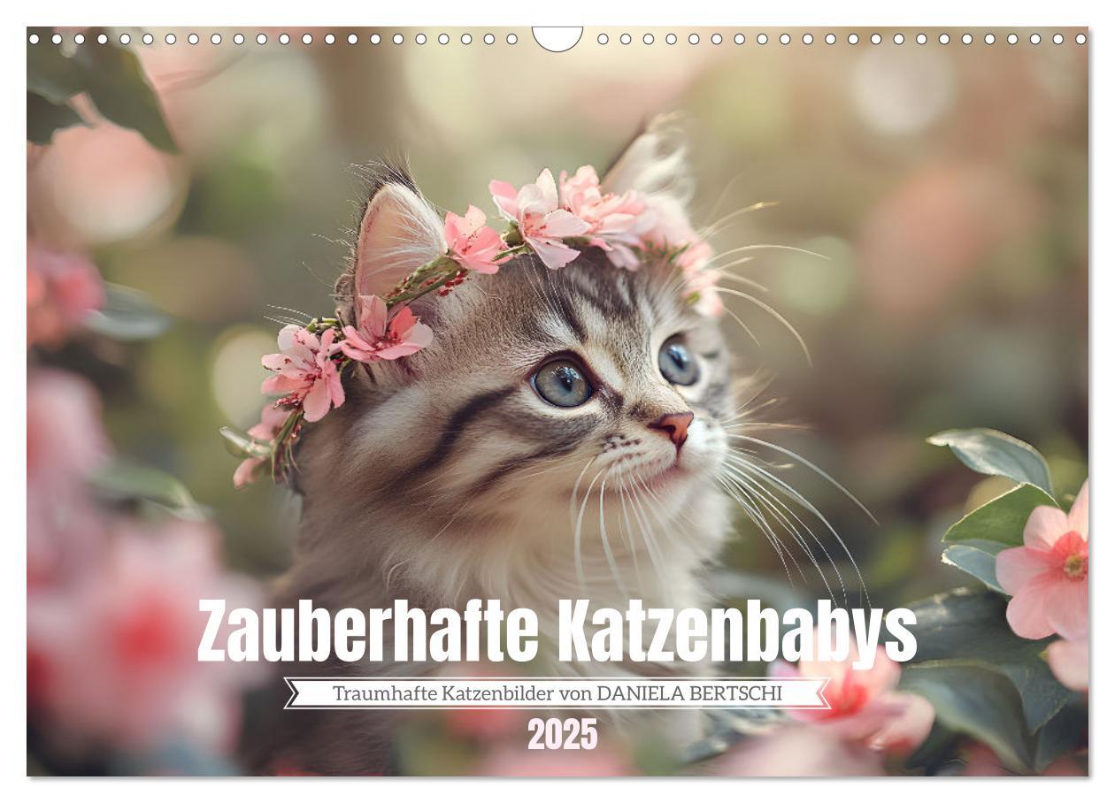 Cover: 9783457207994 | Zauberhafte Katzenbabys (Wandkalender 2025 DIN A3 quer), CALVENDO...