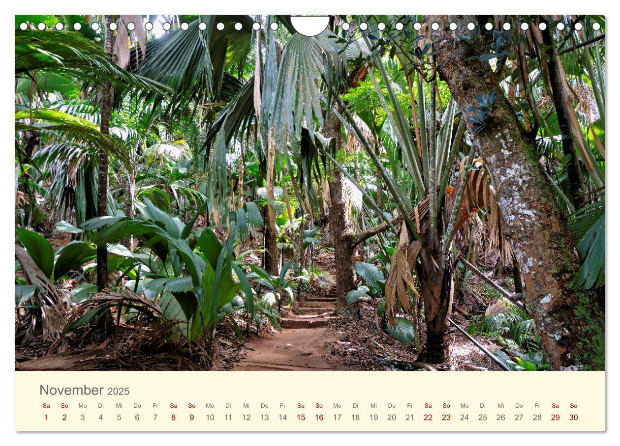 Bild: 9783435011926 | Traumhafte Seychellen (Wandkalender 2025 DIN A4 quer), CALVENDO...