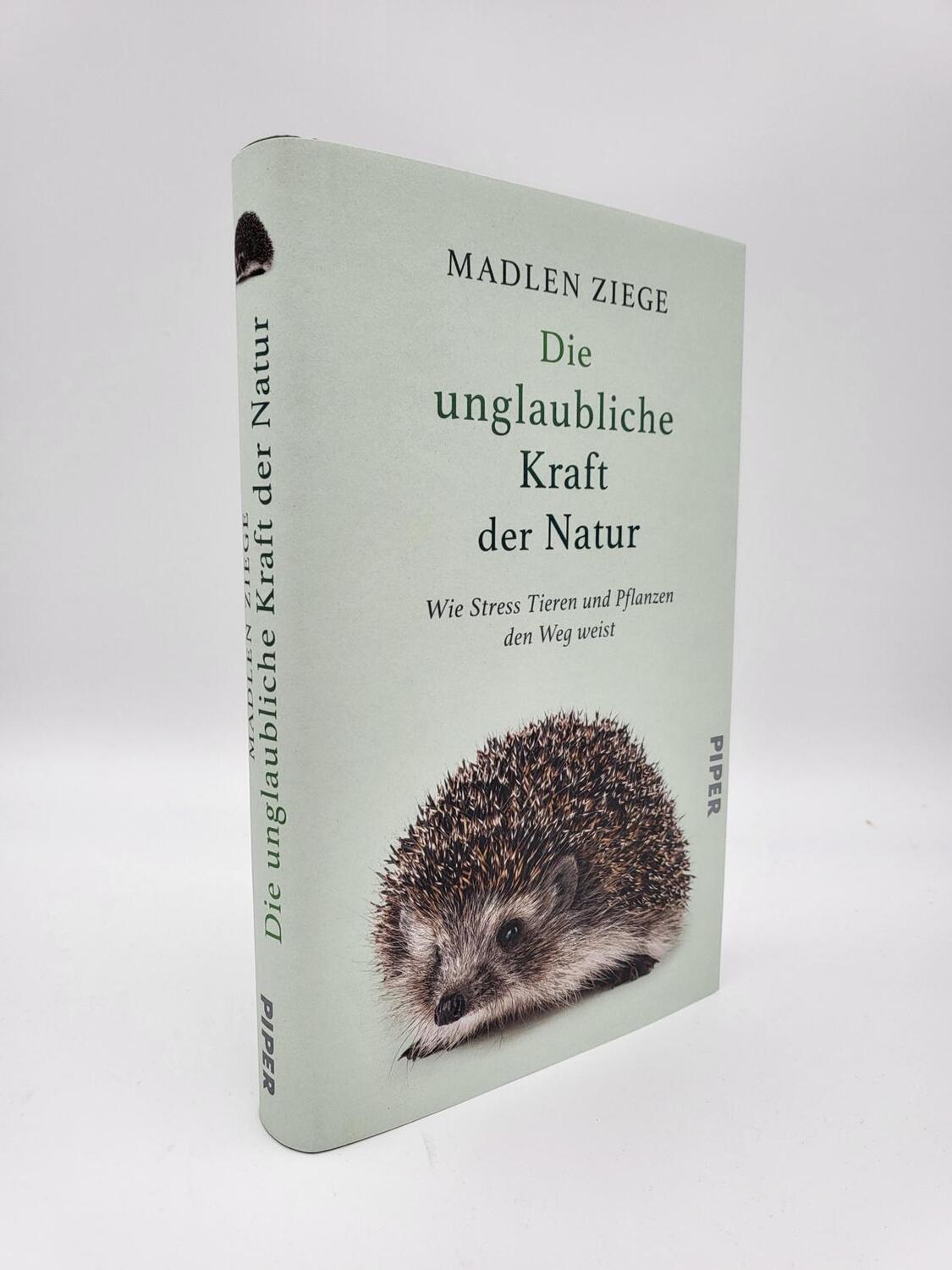 Bild: 9783492071369 | Die unglaubliche Kraft der Natur | Madlen Ziege | Buch | 240 S. | 2023