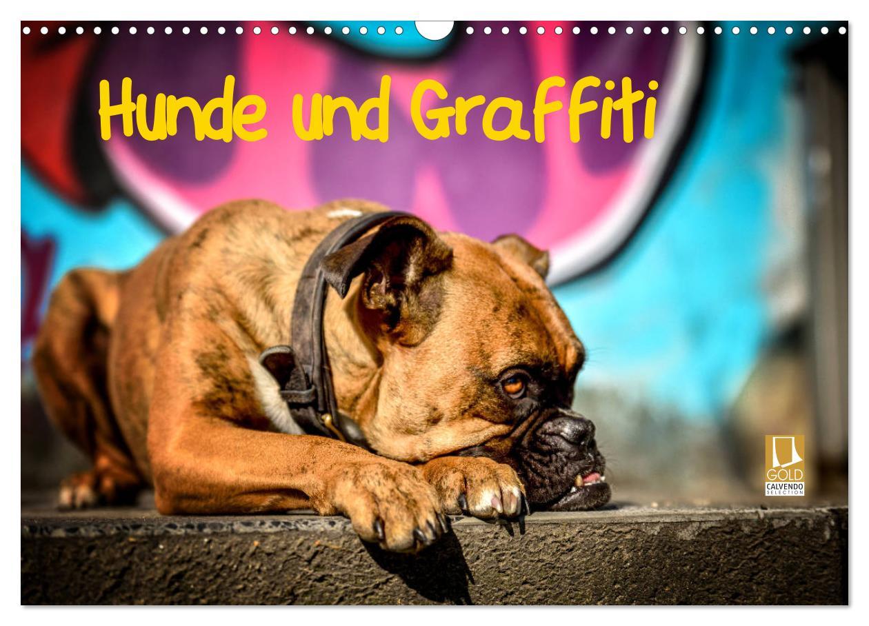 Cover: 9783435314157 | Hunde und Graffiti (Wandkalender 2025 DIN A3 quer), CALVENDO...