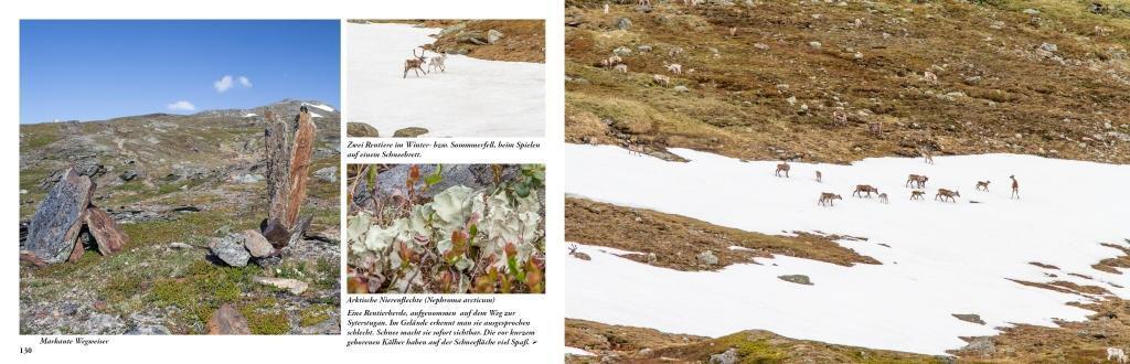 Bild: 9789198331004 | Lappland - Eine Reise in die letzte Wildnis Europas | Idelmann | Buch