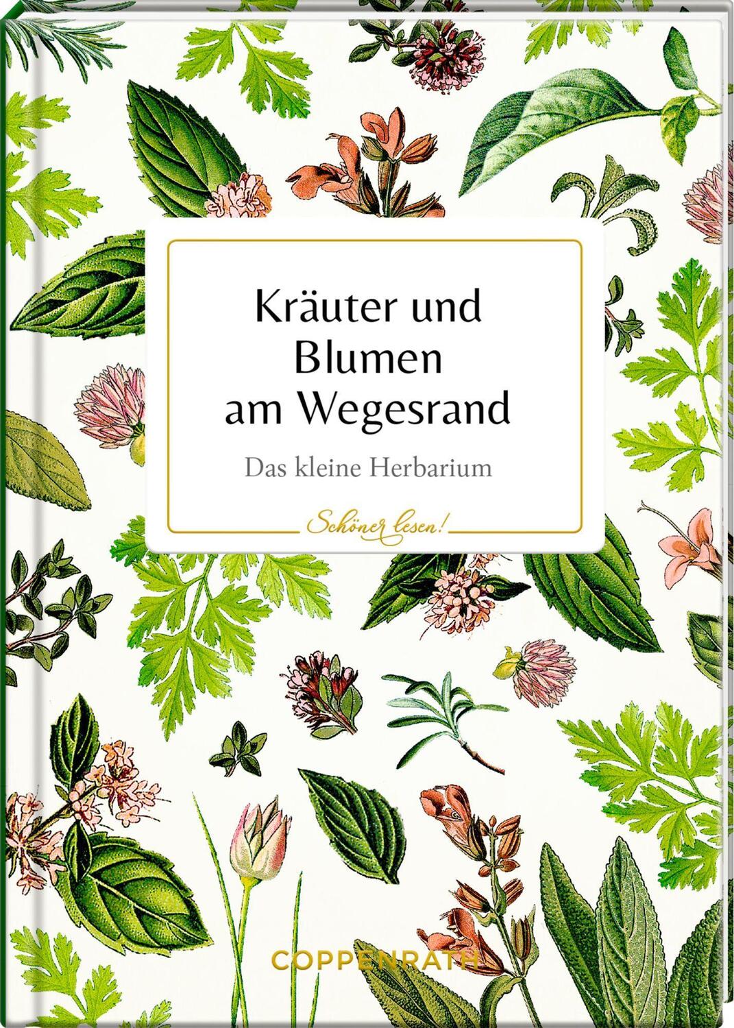 Cover: 9783649648826 | Kräuter und Blumen am Wegesrand | Das kleine Herbarium | Buch | 48 S.