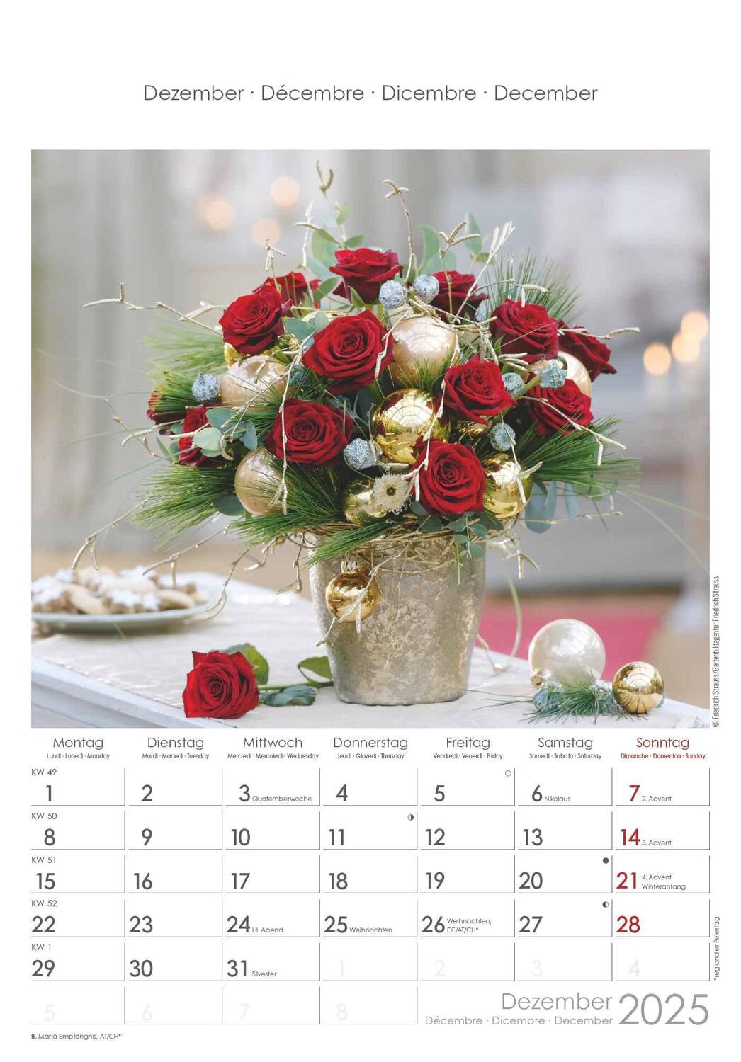 Bild: 4251732340995 | Rosenträume 2025 - Bildkalender 23,7x34 cm - Kalender mit Platz für...