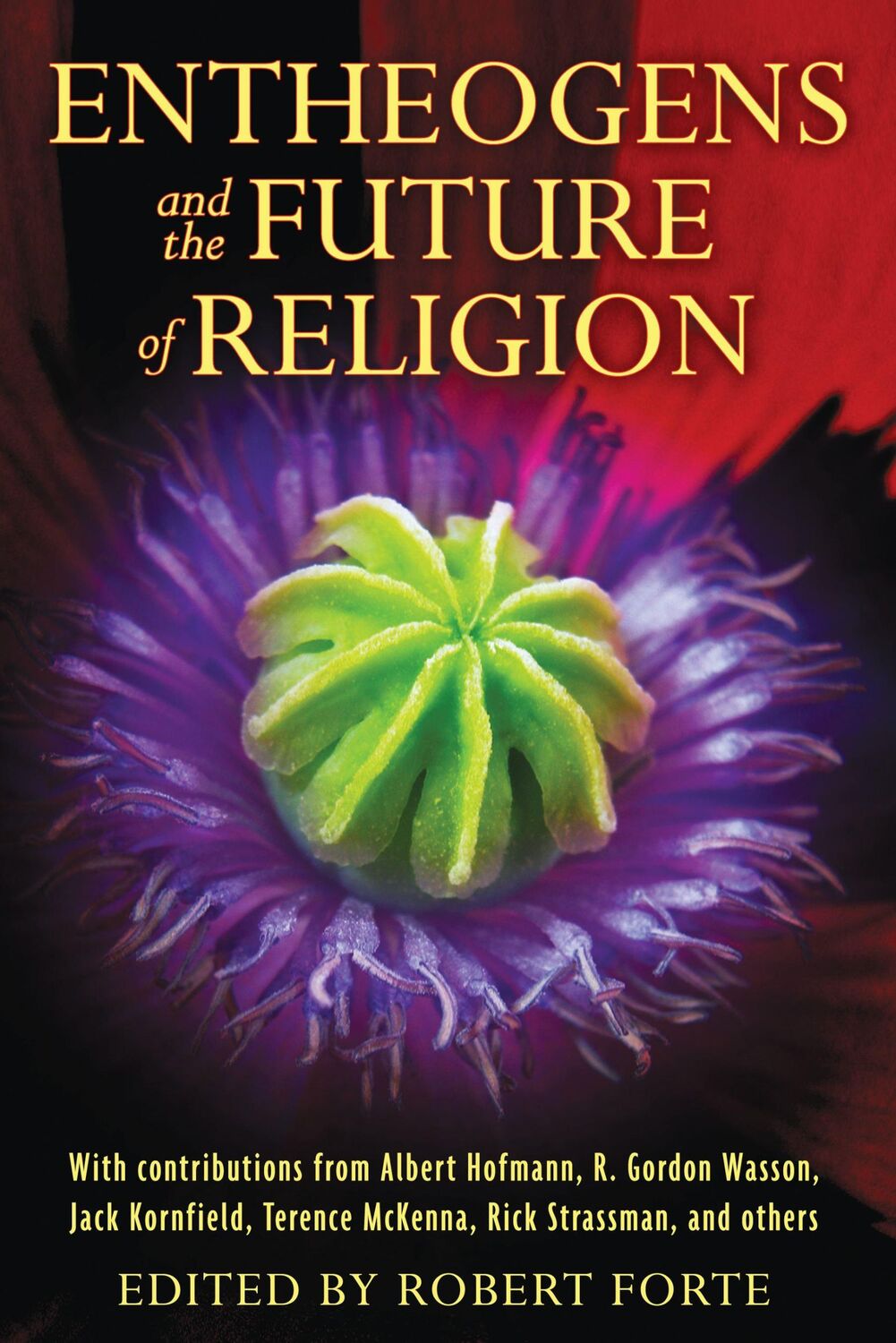 Cover: 9781594774386 | Entheogens and the Future of Religion | Robert Forte | Taschenbuch