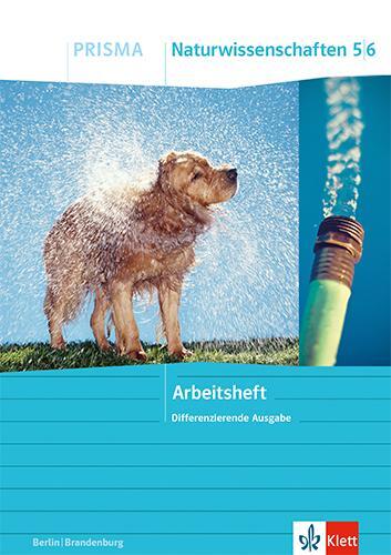 Cover: 9783120690429 | PRISMA Naturwissenschaften 5/6. Differenzierende Ausgabe...