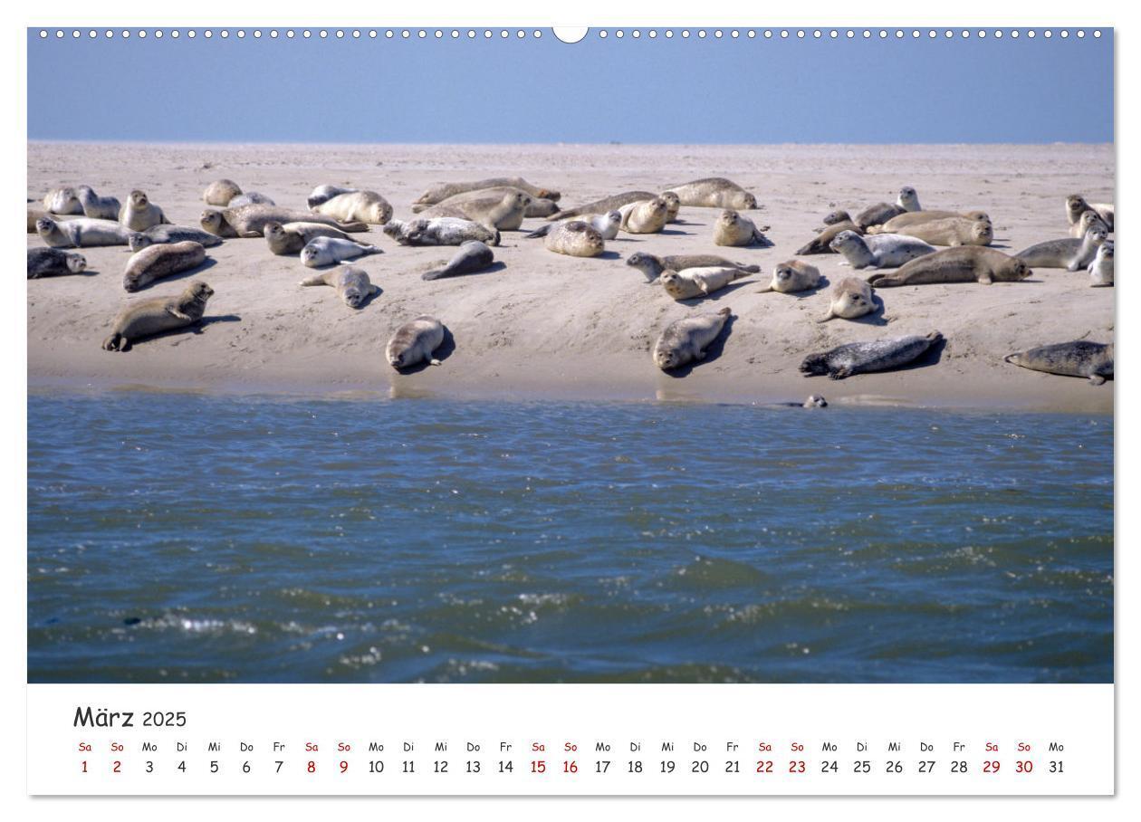 Bild: 9783435979622 | Nordsee, Meer, Strand und Wind (Wandkalender 2025 DIN A2 quer),...