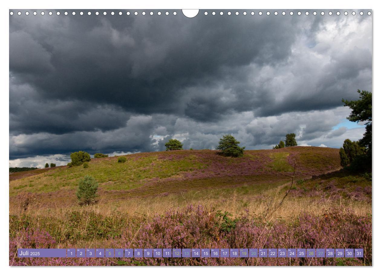 Bild: 9783383984143 | Die Farbenpracht der Lüneburger Heide (Wandkalender 2025 DIN A3...