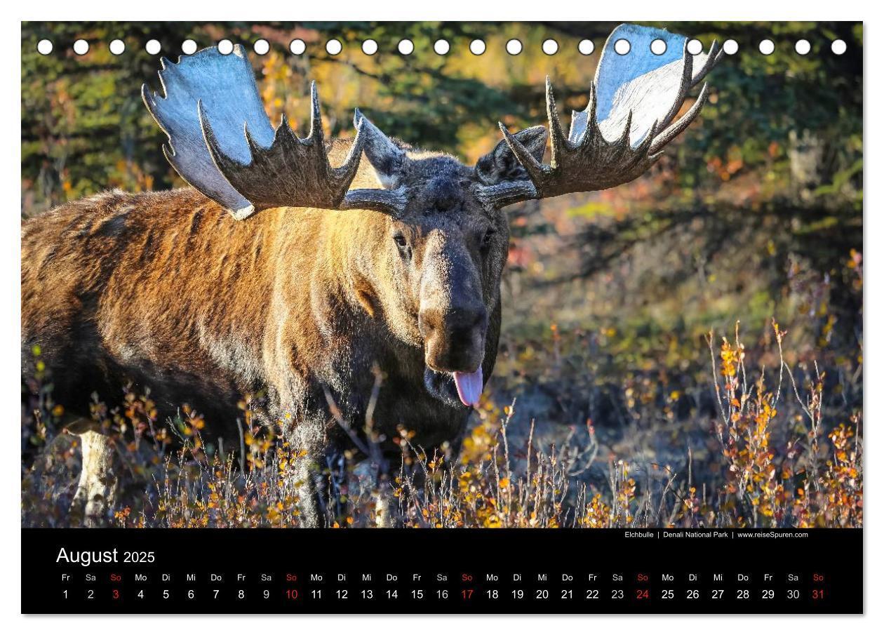 Bild: 9783435635436 | Alaska 2025 Wildes Land am Ende der Welt (Tischkalender 2025 DIN A5...