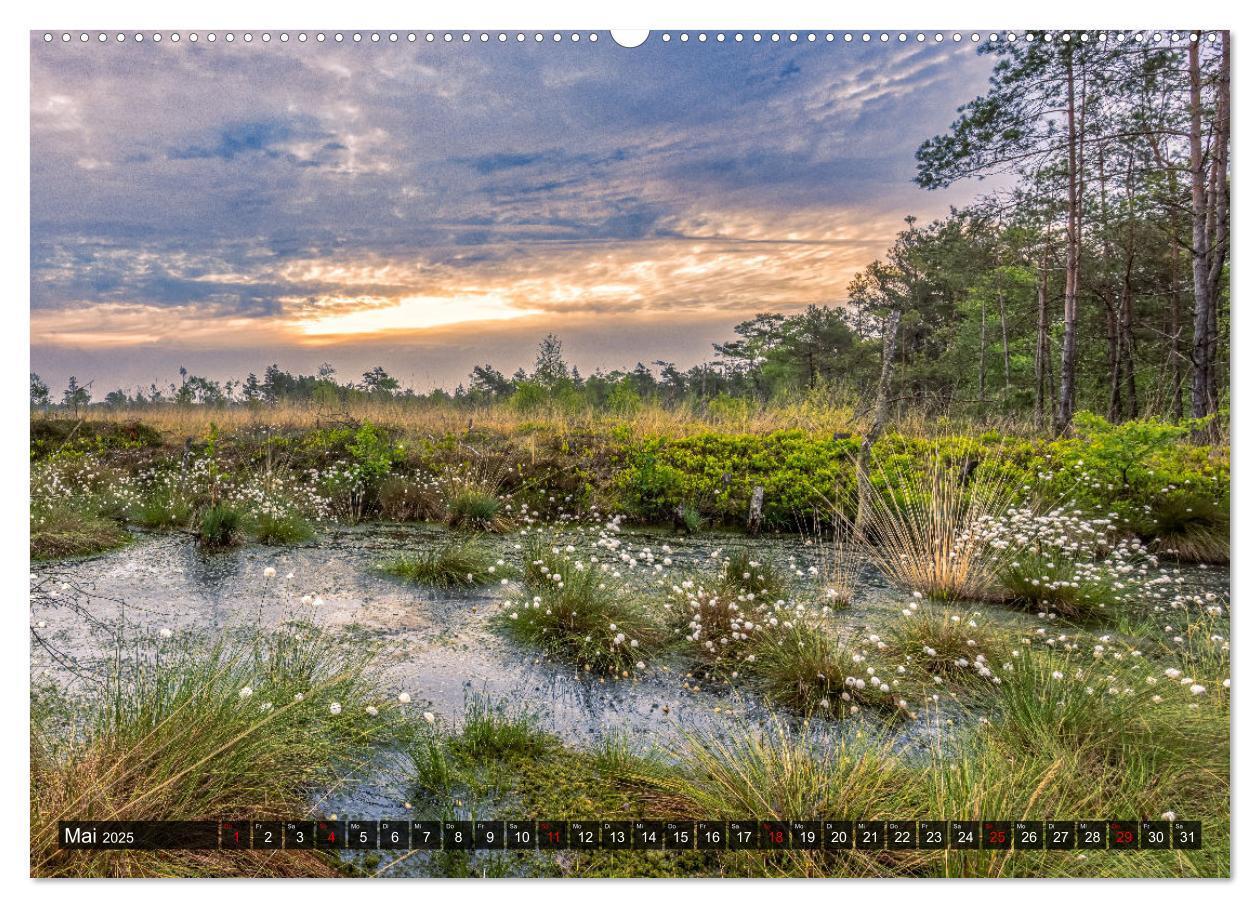 Bild: 9783383954740 | Die Lüneburger Heide - Faszination einer Naturlandschaft...