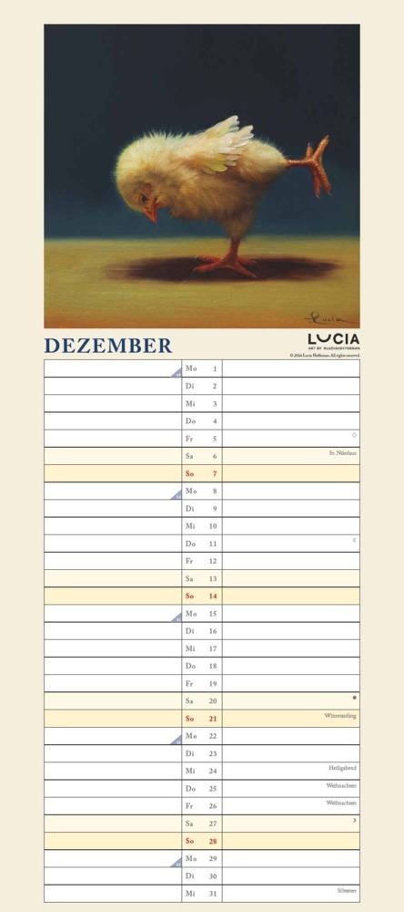 Bild: 4250809653921 | DUMONT - Yoga Chicks 2025 Familienkalender, 22x49,5cm, Planer mit...