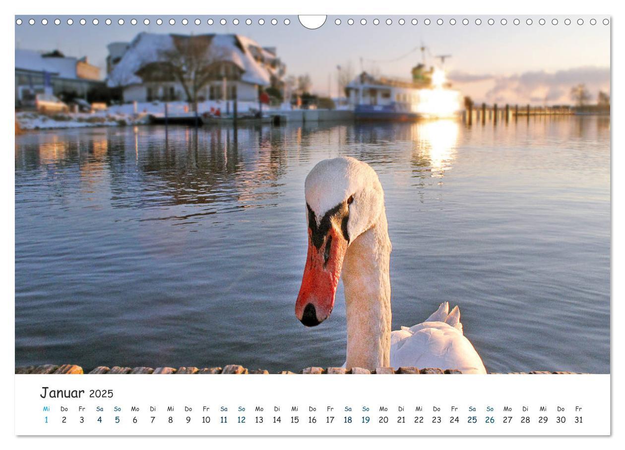 Bild: 9783435414543 | Südost Rügen 2025 (Wandkalender 2025 DIN A3 quer), CALVENDO...