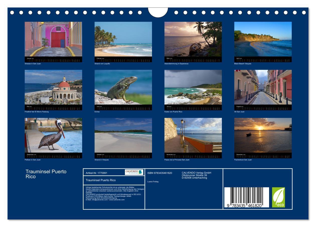 Bild: 9783435461820 | Trauminsel Puerto Rico (Wandkalender 2025 DIN A4 quer), CALVENDO...