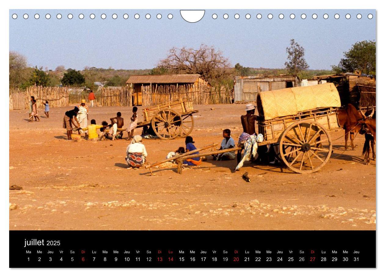 Bild: 9781325960613 | Madagascar L'île aux merveilles (Calendrier mural 2025 DIN A4...