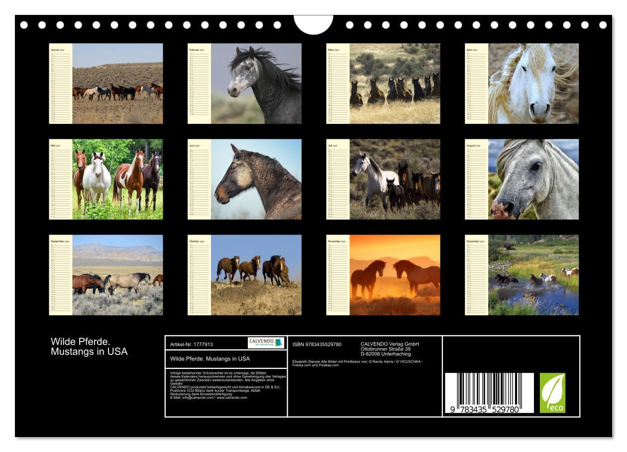 Bild: 9783435529780 | Wilde Pferde. Mustangs in USA (Wandkalender 2025 DIN A4 quer),...