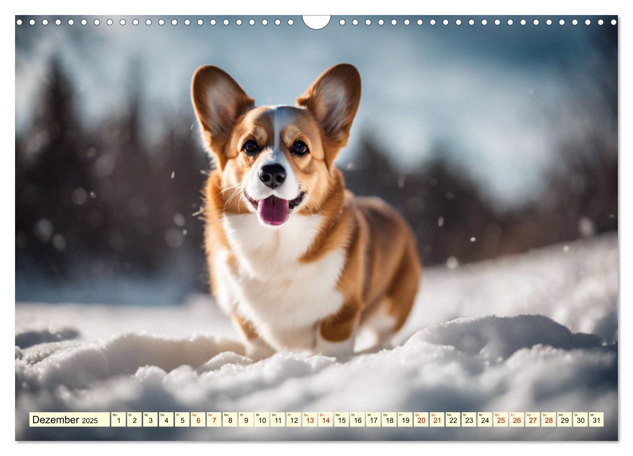 Bild: 9783435244447 | Welsh Corgi Pembroke (Wandkalender 2025 DIN A3 quer), CALVENDO...