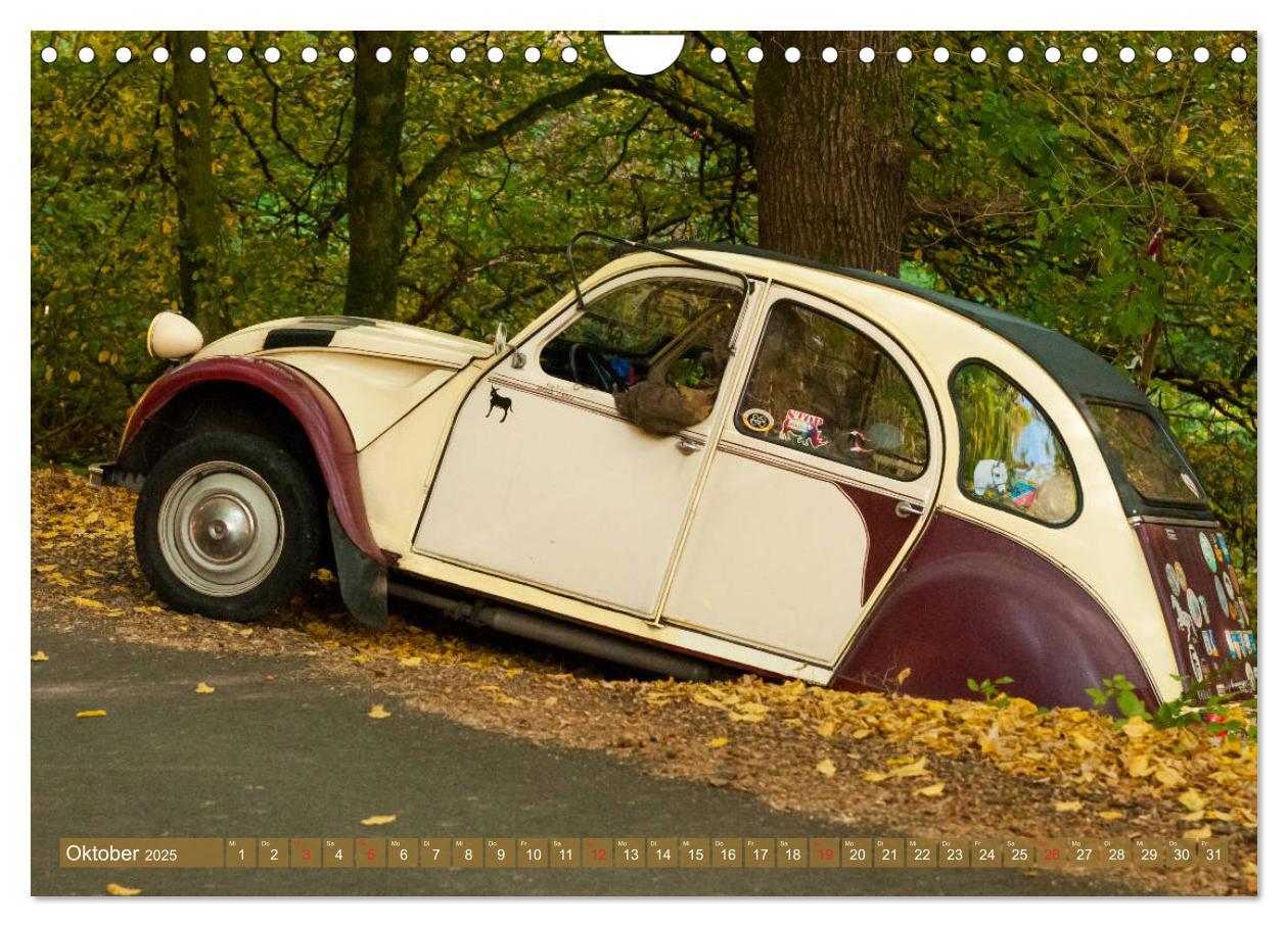 Bild: 9783435273881 | Die Ente ist sicher - Fahrspaß mit 2 CV Dolly (Wandkalender 2025...