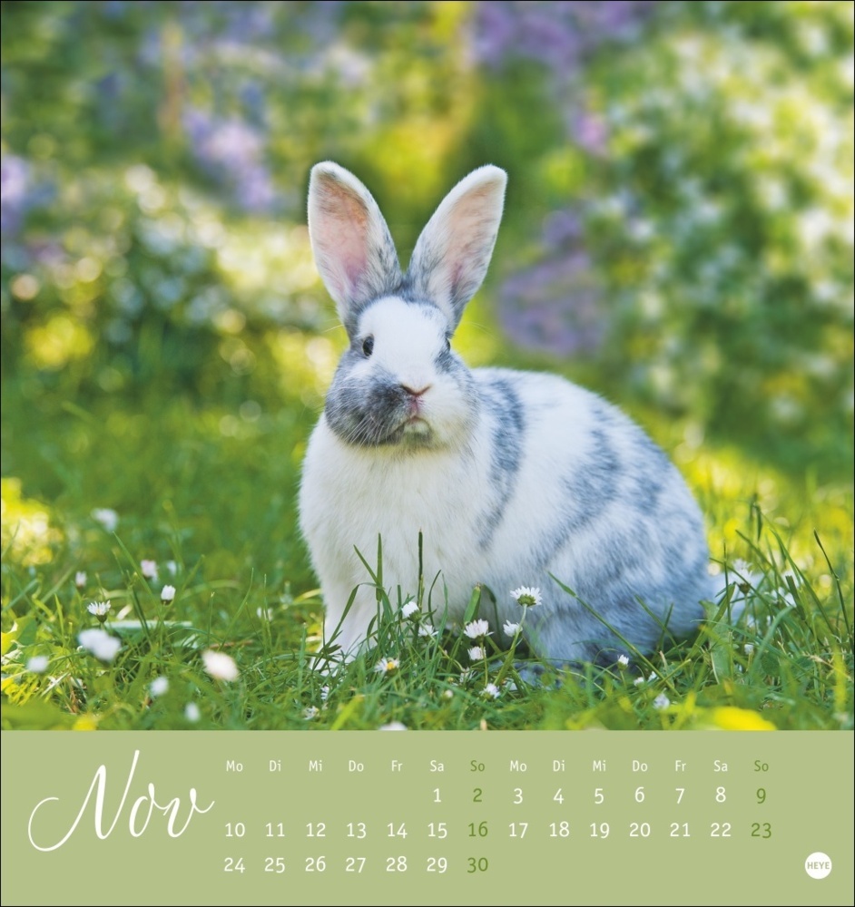 Bild: 9783756407057 | Süße Kaninchen Postkartenkalender 2025 | Monika Wegler | Kalender