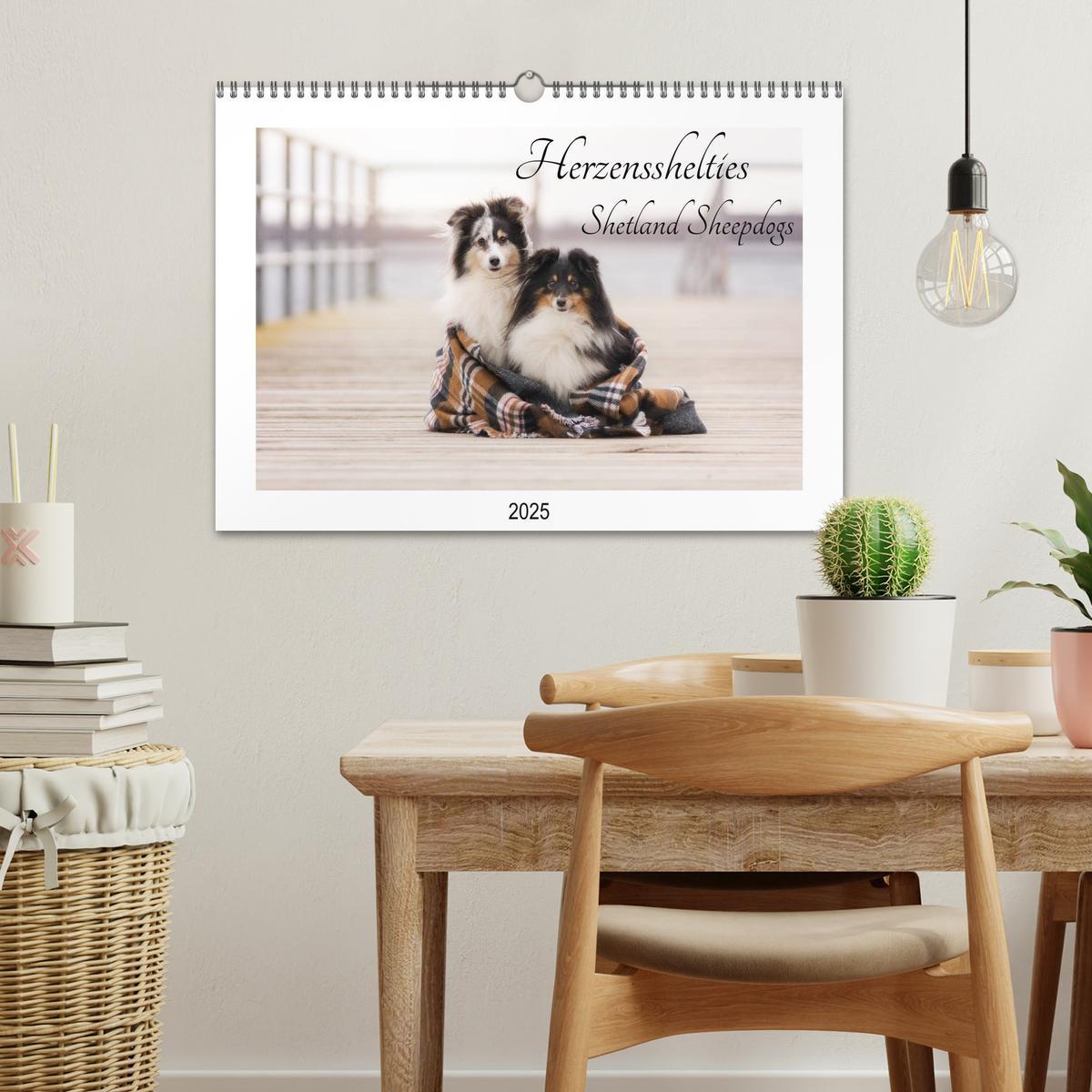 Bild: 9783435307944 | Herzensshelties - Shetland Sheepdogs (Wandkalender 2025 DIN A3...