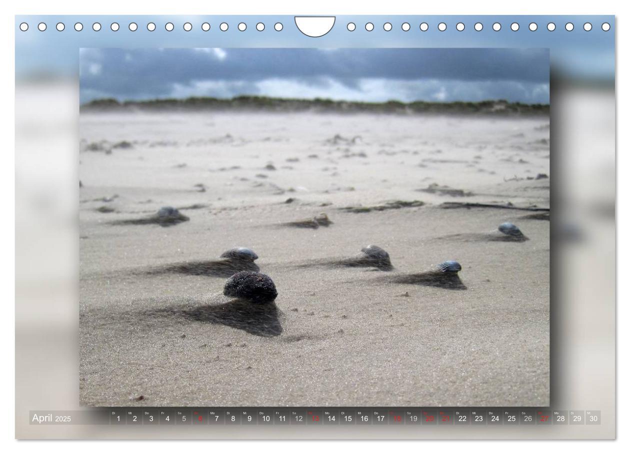 Bild: 9783435683611 | Baltrum - Ein Tag am Strand (Wandkalender 2025 DIN A4 quer),...