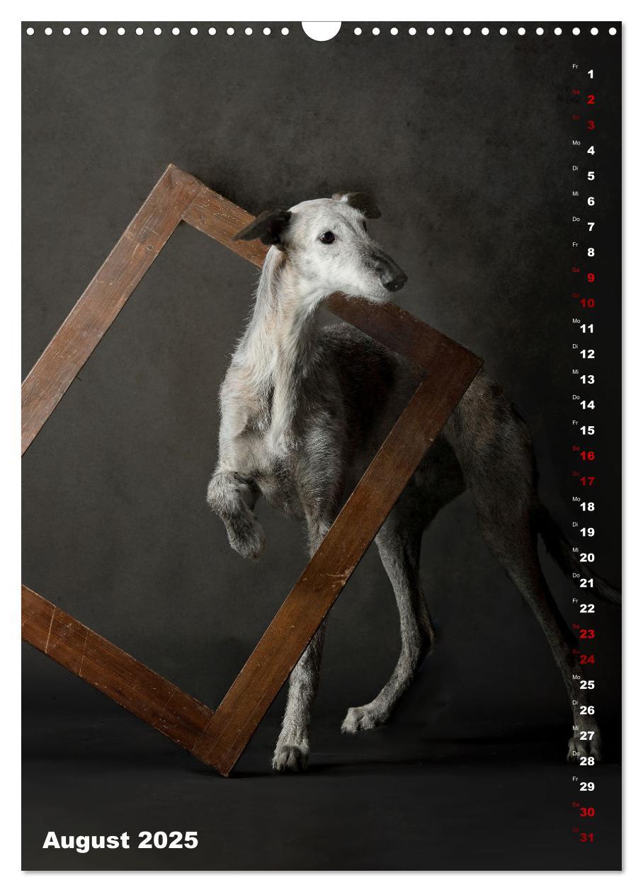 Bild: 9783457230824 | dogmuse deluxe (Wandkalender 2025 DIN A3 hoch), CALVENDO...