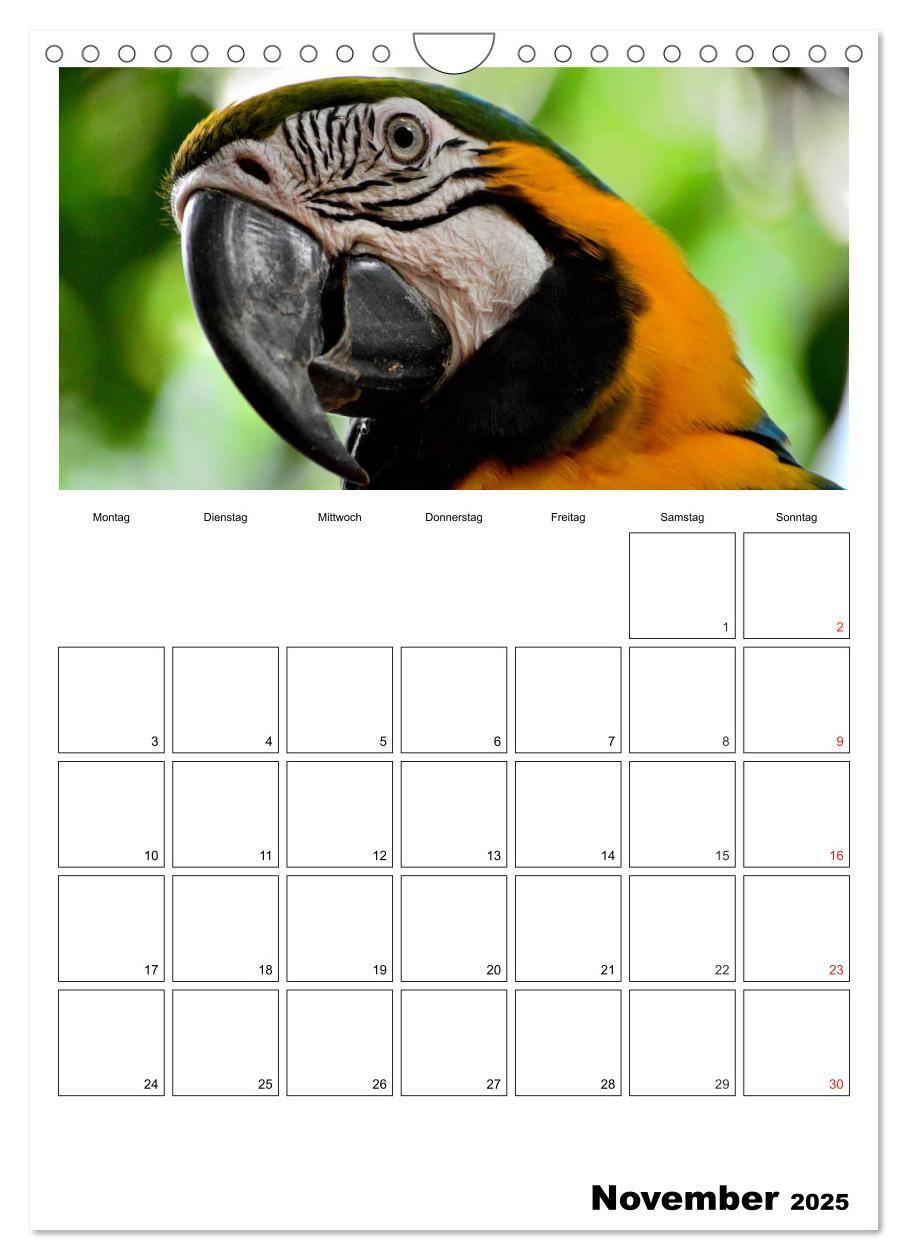 Bild: 9783457014912 | Brasilien. Wo die Sonne wohnt (Wandkalender 2025 DIN A4 hoch),...