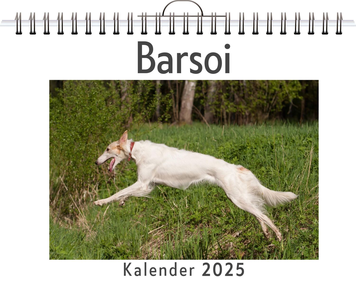 Cover: 9783759118929 | Barsoi | Aaron Hoffmann | Kalender | Kalender | 14 S. | Deutsch