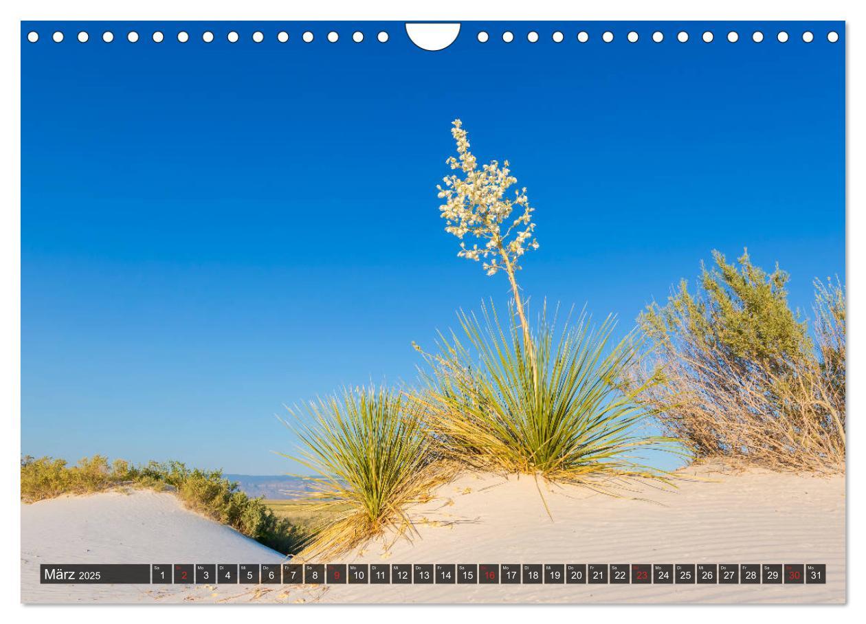 Bild: 9783435210800 | WHITE SANDS Die weiße Wüste in New Mexico (Wandkalender 2025 DIN A4...