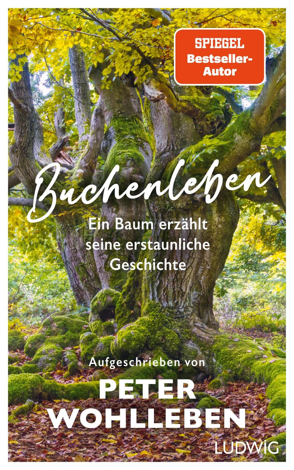 Cover: 9783453281516 | Buchenleben | Ein Baum erzählt seine erstaunliche Geschichte | Buch