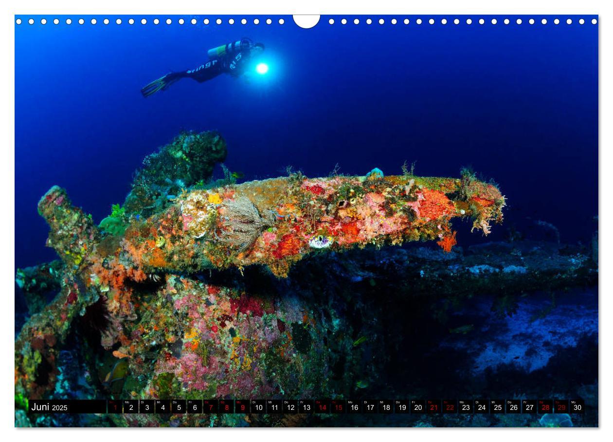 Bild: 9783435397518 | Raja Ampat - Faszinierende Unterwasserwelt (Wandkalender 2025 DIN...