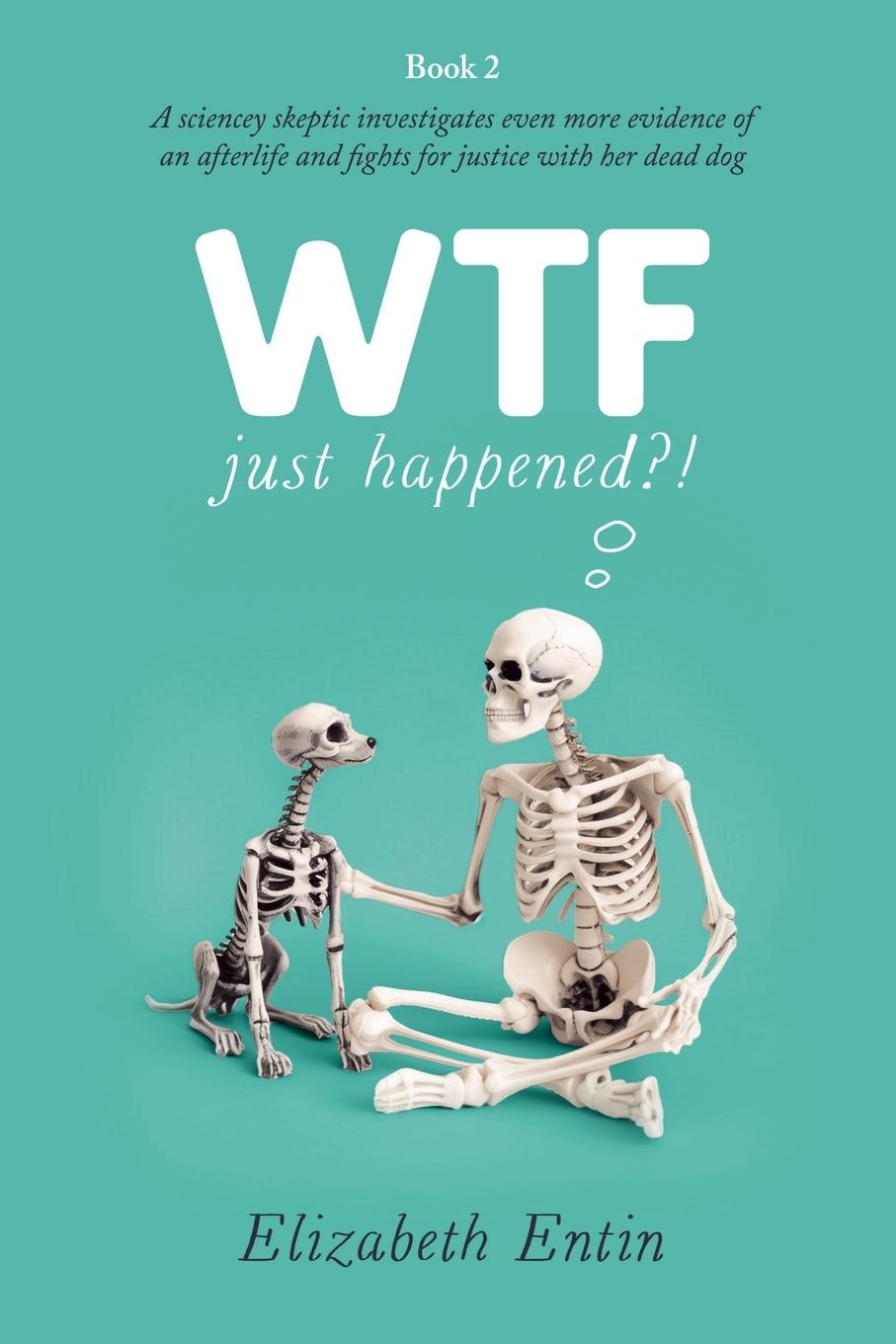 Cover: 9798985287240 | WTF Just Happened?! | Elizabeth Entin | Taschenbuch | Englisch | 2024