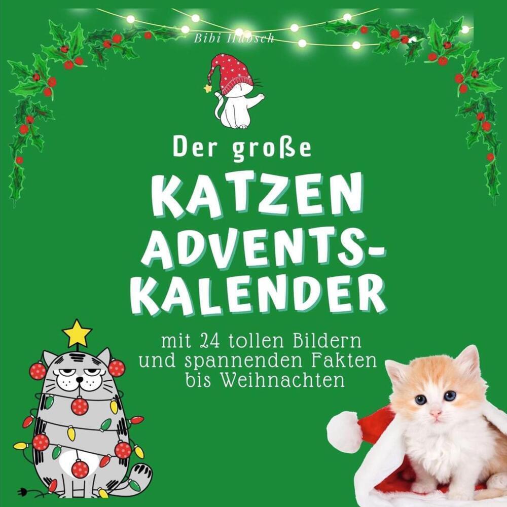 Cover: 9783750524187 | Der grosse Katzen-Adventskalender | Bibi Hübsch | Taschenbuch | 100 S.