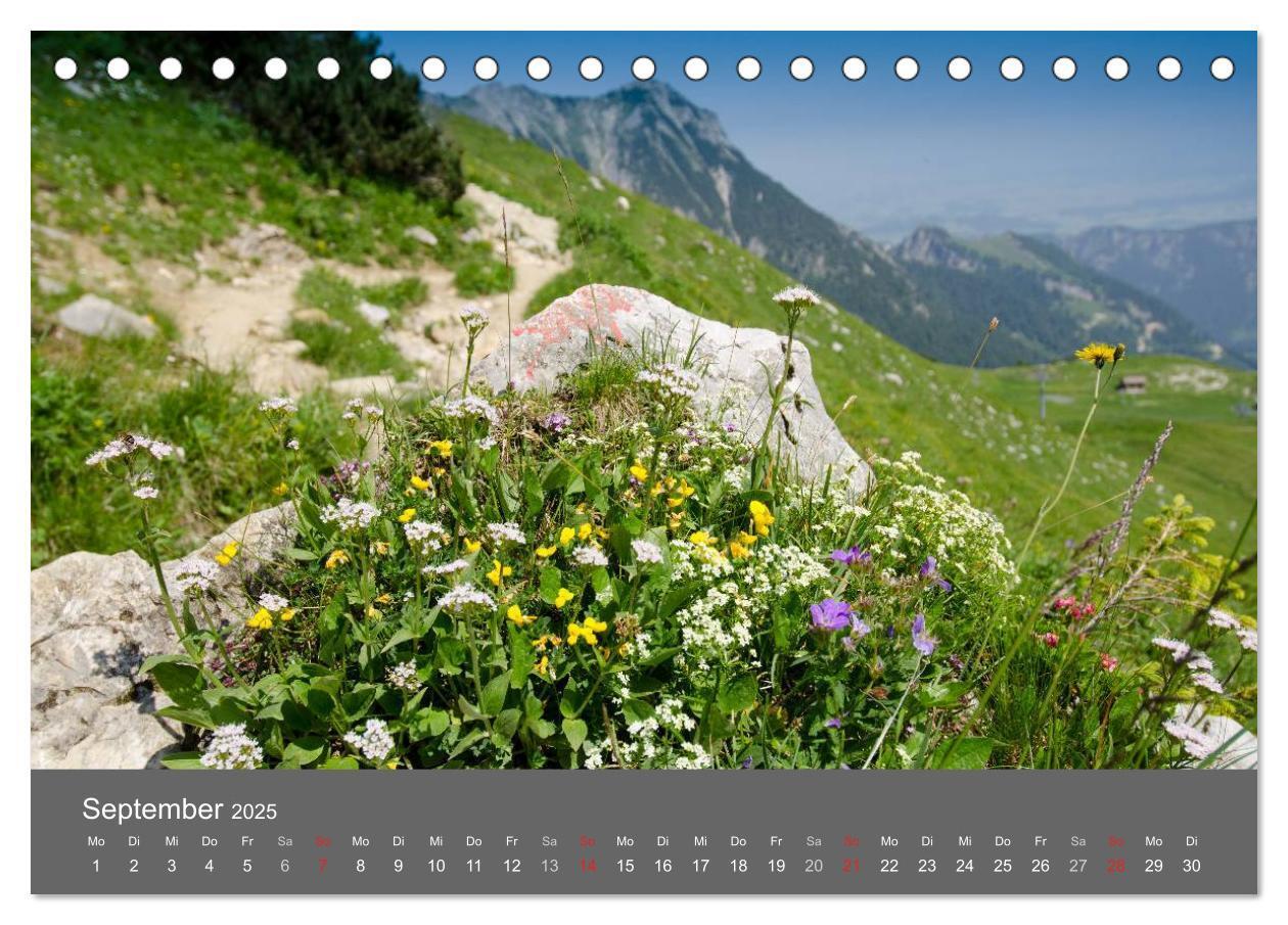 Bild: 9783435727636 | Tannheimer Tal (Tischkalender 2025 DIN A5 quer), CALVENDO...