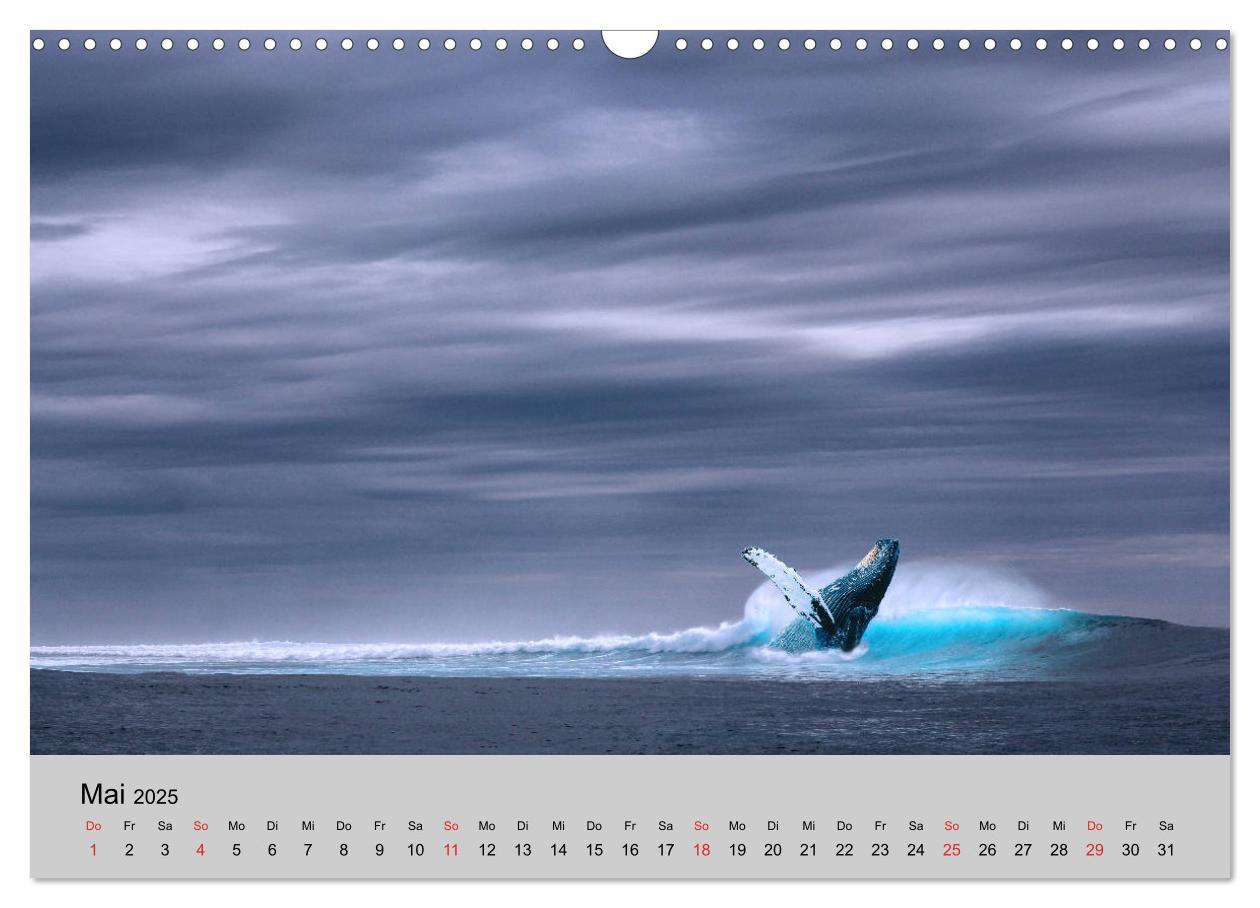 Bild: 9783435317356 | Am Meer. Sehnsucht Wasser (Wandkalender 2025 DIN A3 quer), CALVENDO...