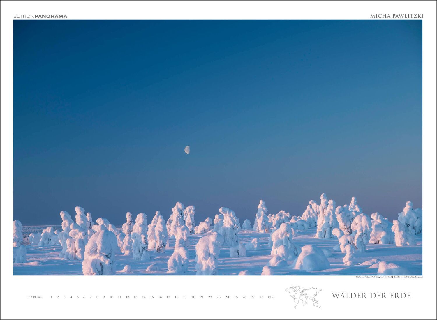 Bild: 9783898236218 | WÄLDER DER ERDE | Micha Pawlitzki | Kalender | XIII | Deutsch | 2024