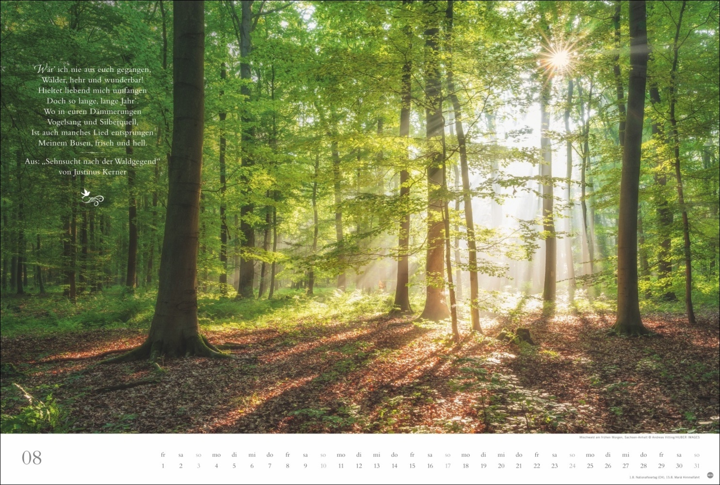 Bild: 9783756404803 | Der deutsche Wald - Ein literarischer Spaziergang Kalender 2025 -...