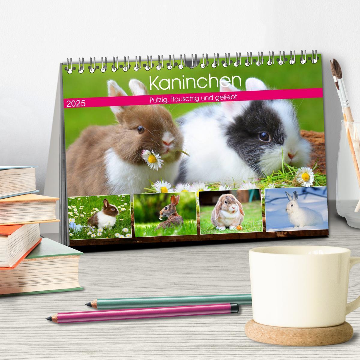 Bild: 9783435315031 | Kaninchen. Putzig, flauschig und geliebt (Tischkalender 2025 DIN A5...