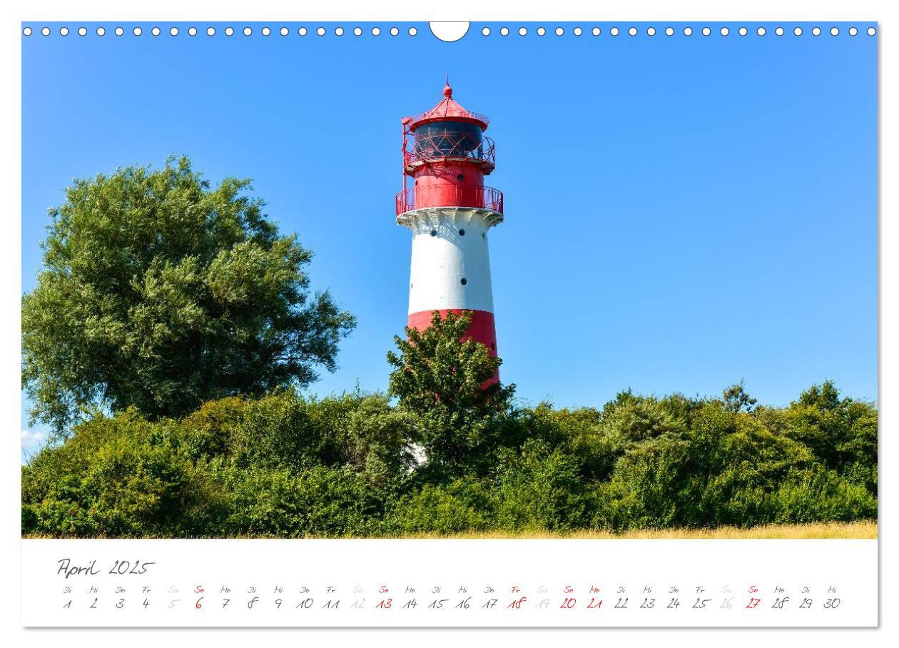 Bild: 9783435763801 | "Landarzt" - Plätze an Schlei und Ostsee (Wandkalender 2025 DIN A3...