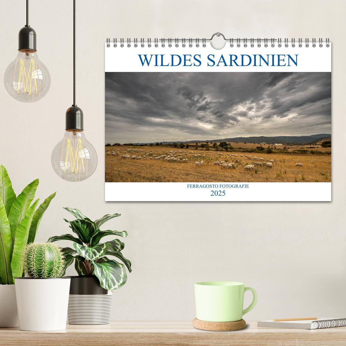 Bild: 9783435404049 | Wildes Sardinien 2025 (Wandkalender 2025 DIN A4 quer), CALVENDO...