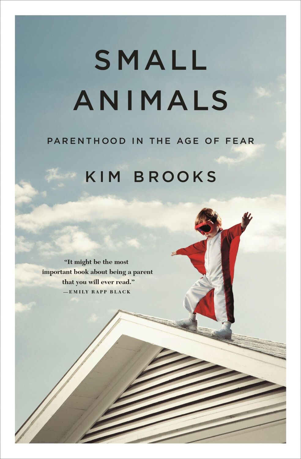 Cover: 9781250089557 | Small Animals | Parenthood in the Age of Fear | Kim Brooks | Buch