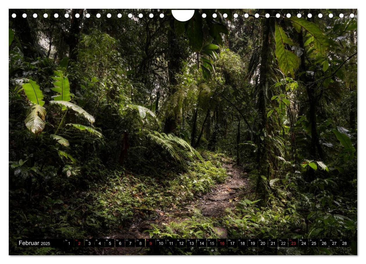 Bild: 9783435632046 | COSTA RICA Farben und Licht (Wandkalender 2025 DIN A4 quer),...