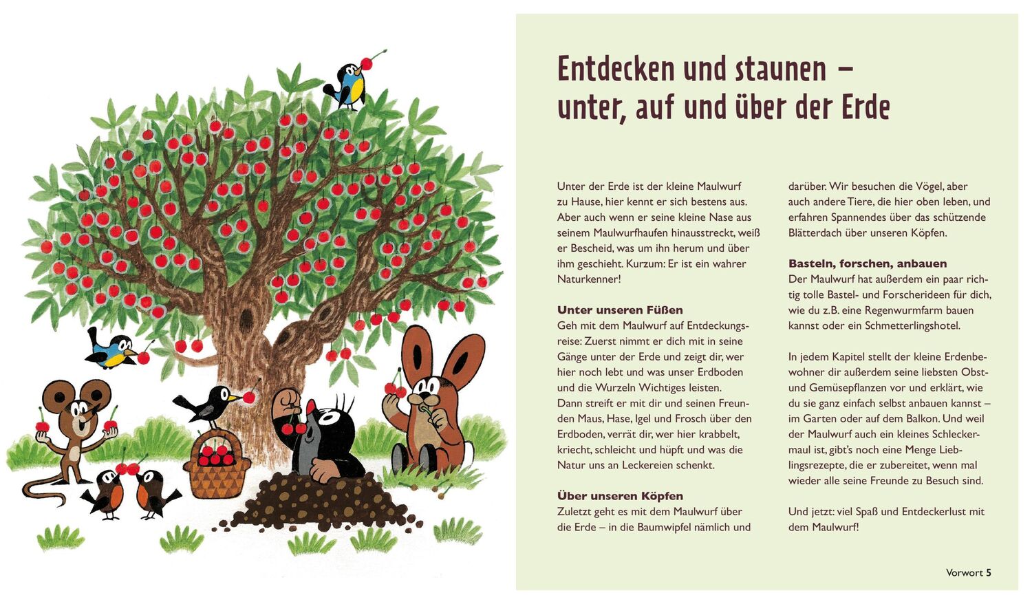 Bild: 9783965841994 | Der kleine Maulwurf: Über und unter der Erde | Zs-Team | Buch | 144 S.