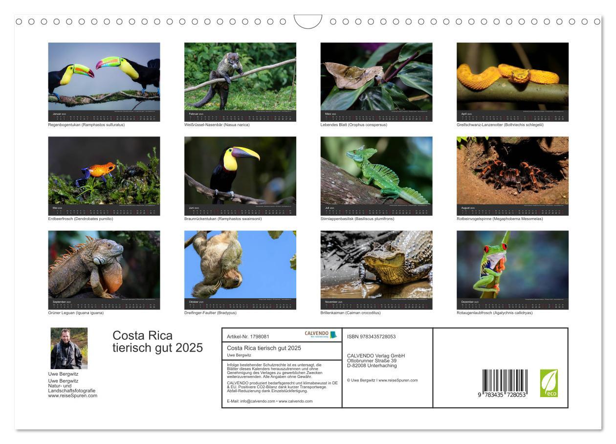 Bild: 9783435728053 | Costa Rica tierisch gut 2025 (Wandkalender 2025 DIN A3 quer),...