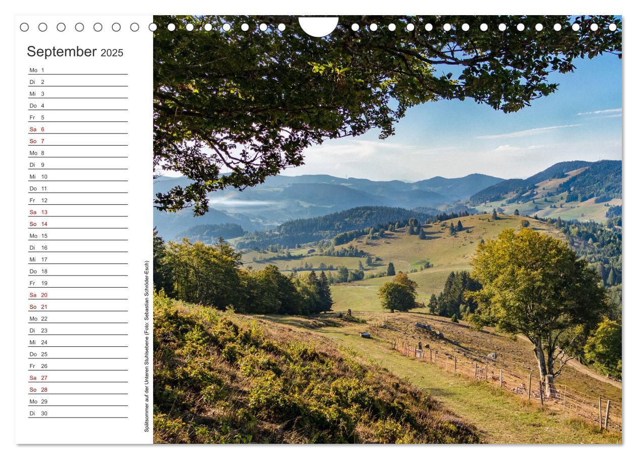 Bild: 9783383932762 | Naturvielfalt Wiesental (Wandkalender 2025 DIN A4 quer), CALVENDO...