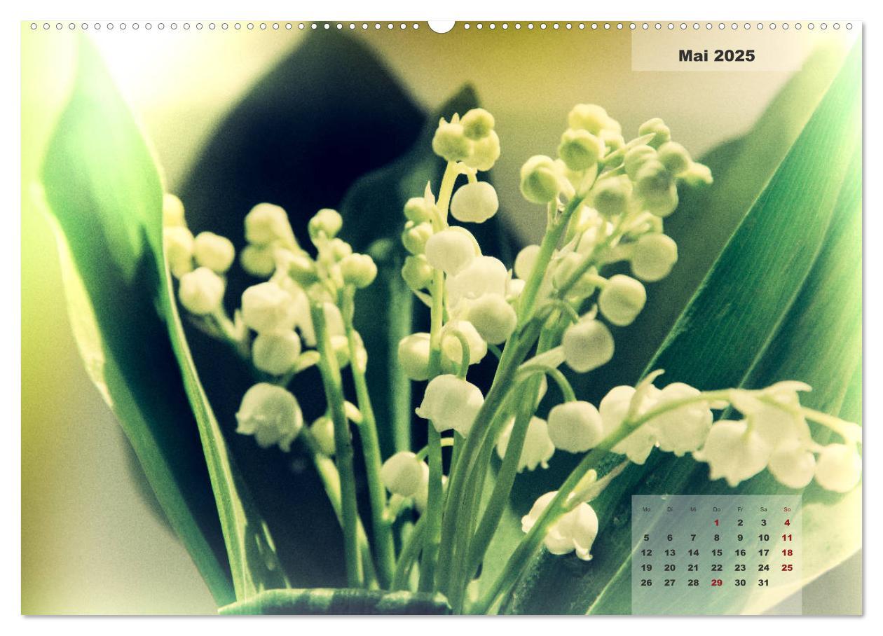 Bild: 9783435304523 | Blüten im Retro-Style (Wandkalender 2025 DIN A2 quer), CALVENDO...