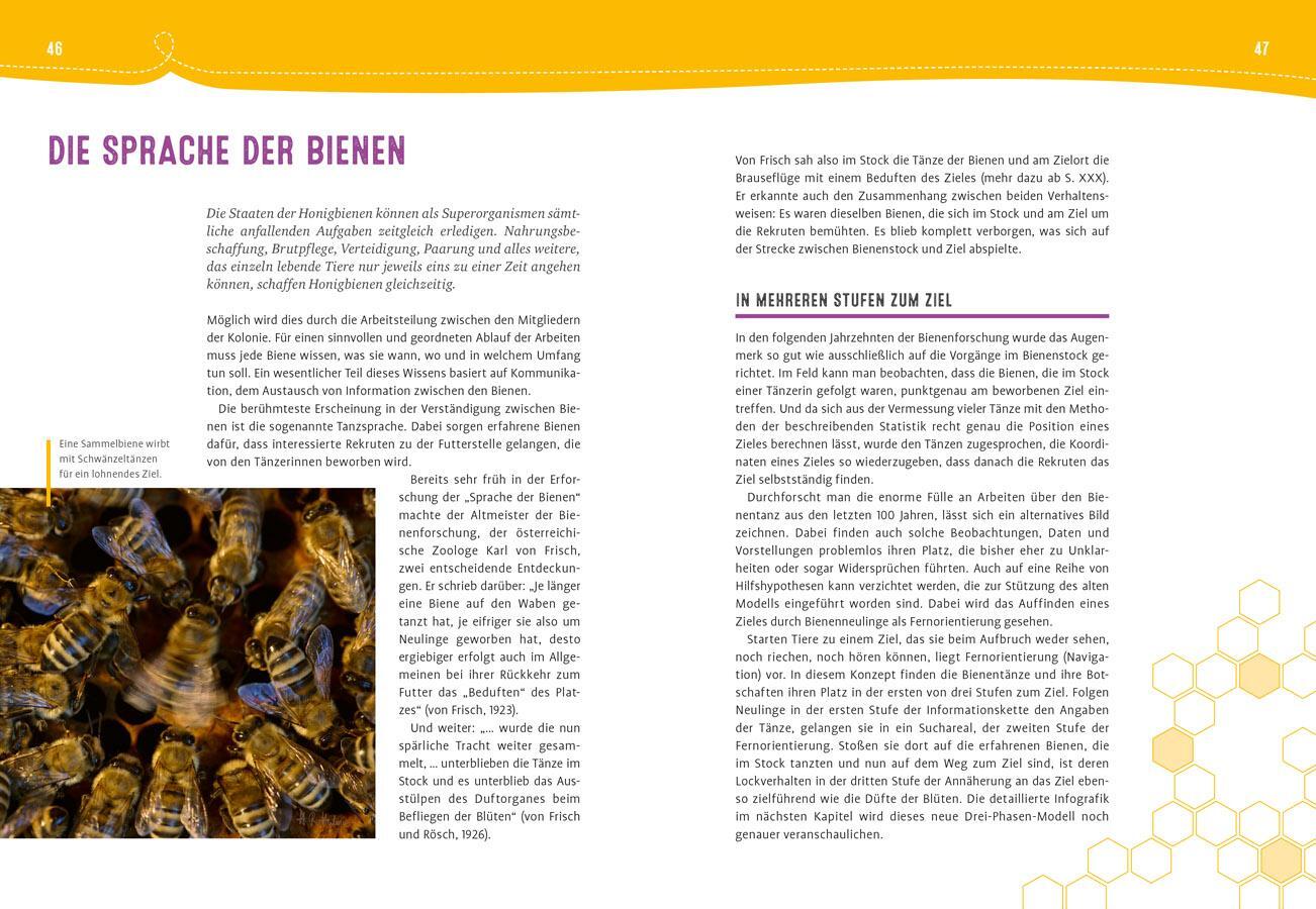 Bild: 9783818620837 | Auch Bienen haben Schweißfüße | Jürgen Tautz | Buch | 144 S. | Deutsch