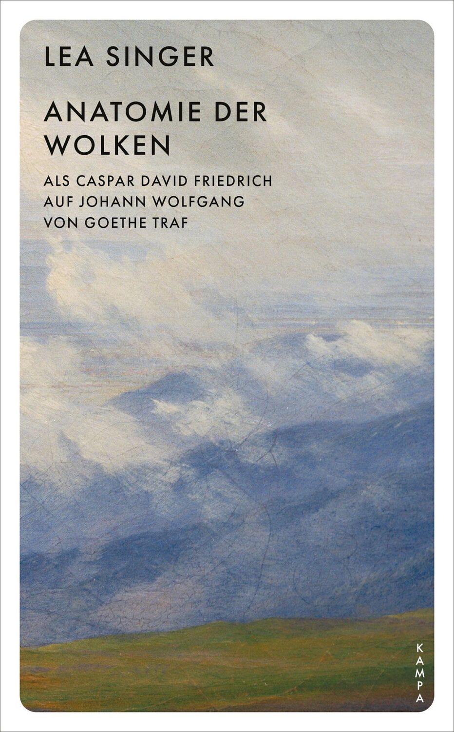 Cover: 9783311150961 | Anatomie der Wolken | Lea Singer | Taschenbuch | Taschenbuch | 288 S.