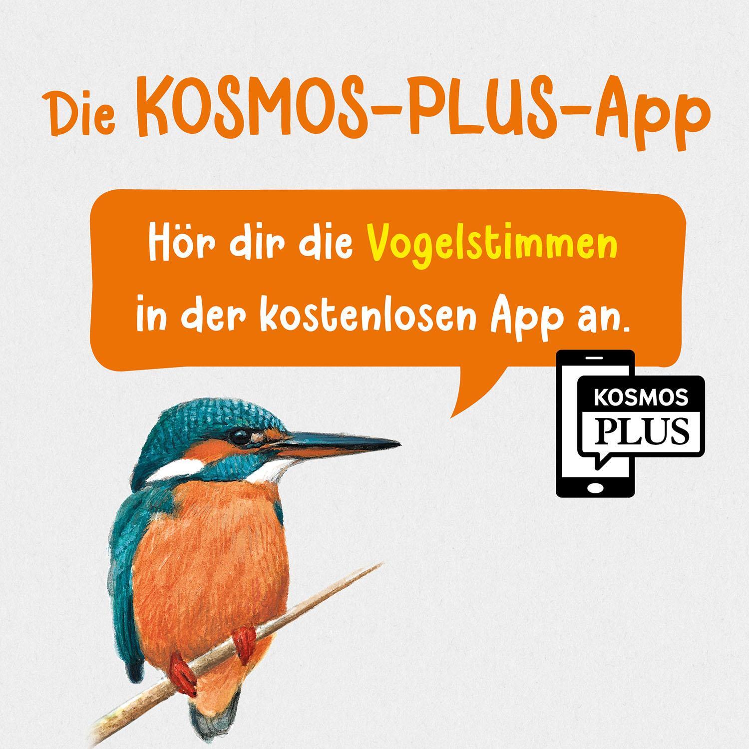 Bild: 9783440175736 | Welcher Gartenvogel ist das? Kindernaturführer | Holger Haag | Buch