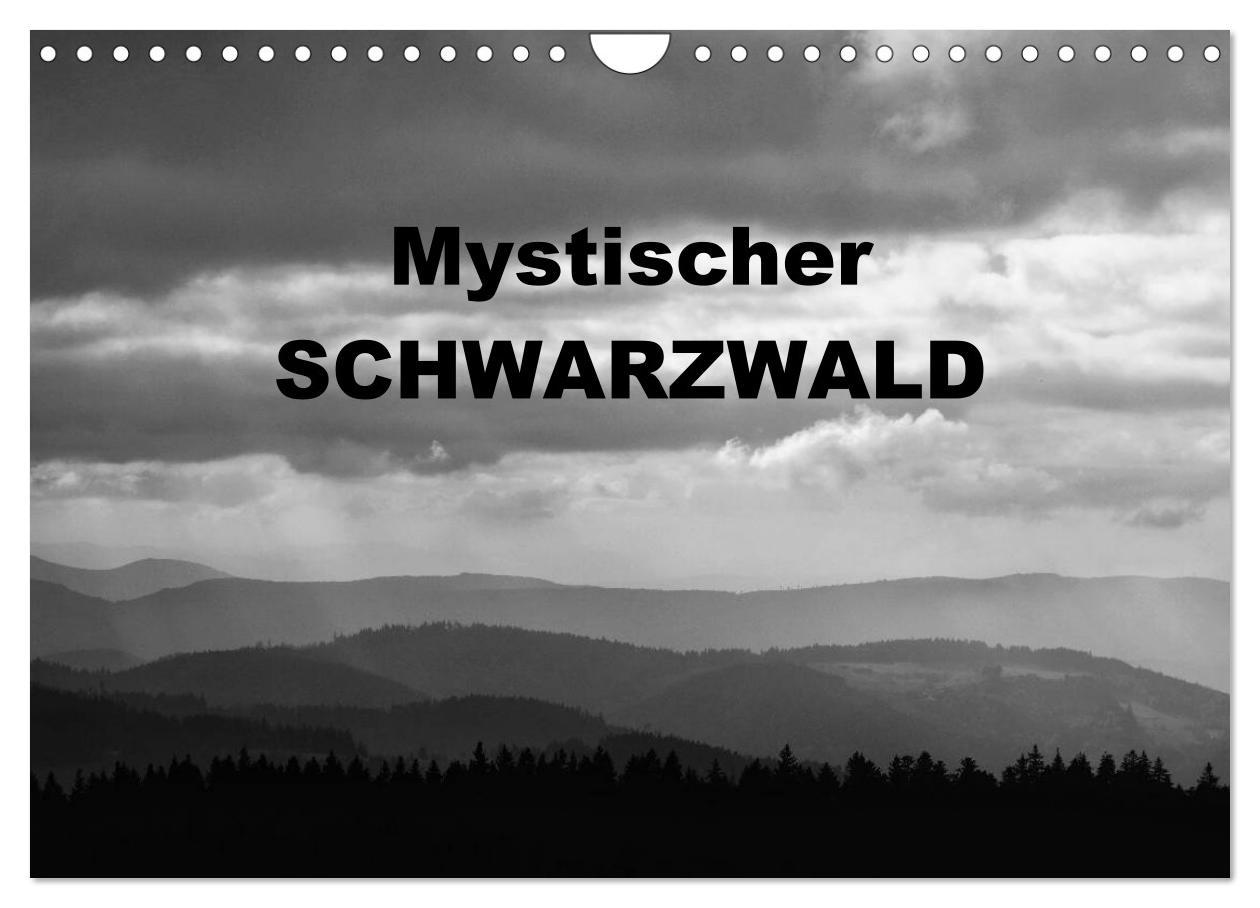 Cover: 9783435514885 | Mystischer Schwarzwald (Wandkalender 2025 DIN A4 quer), CALVENDO...