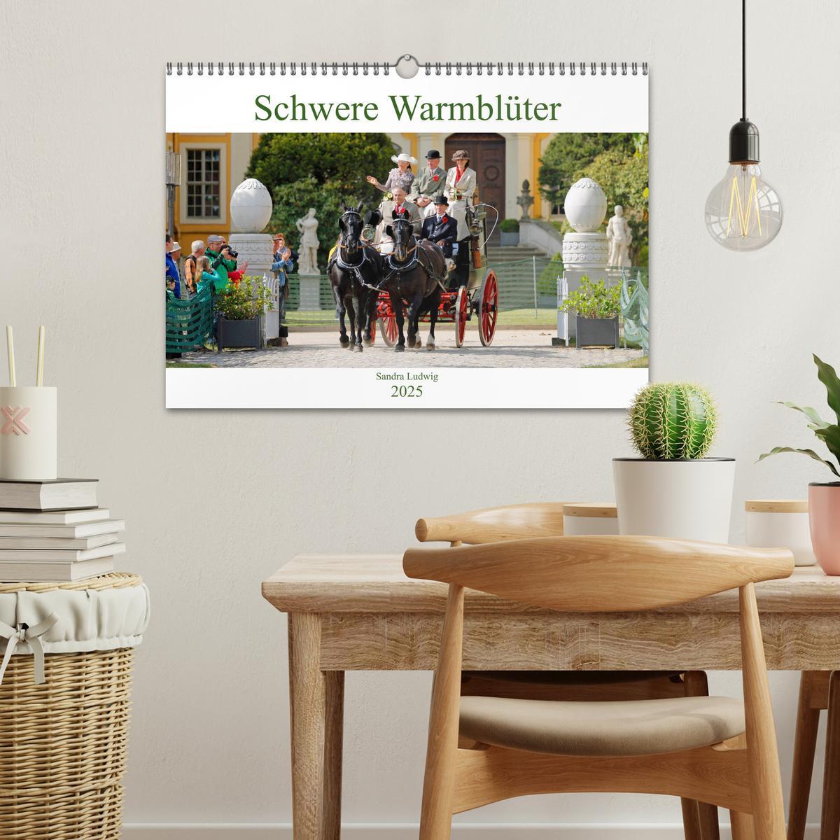 Bild: 9783435395187 | Schwere Warmblüter 2025 (Wandkalender 2025 DIN A3 quer), CALVENDO...